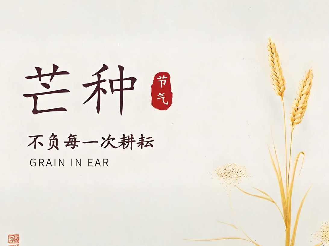 芒种 | 步履不停，耕耘正当时