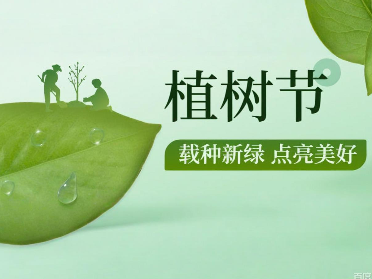 植树节 | 独木难成荫，同心始见春